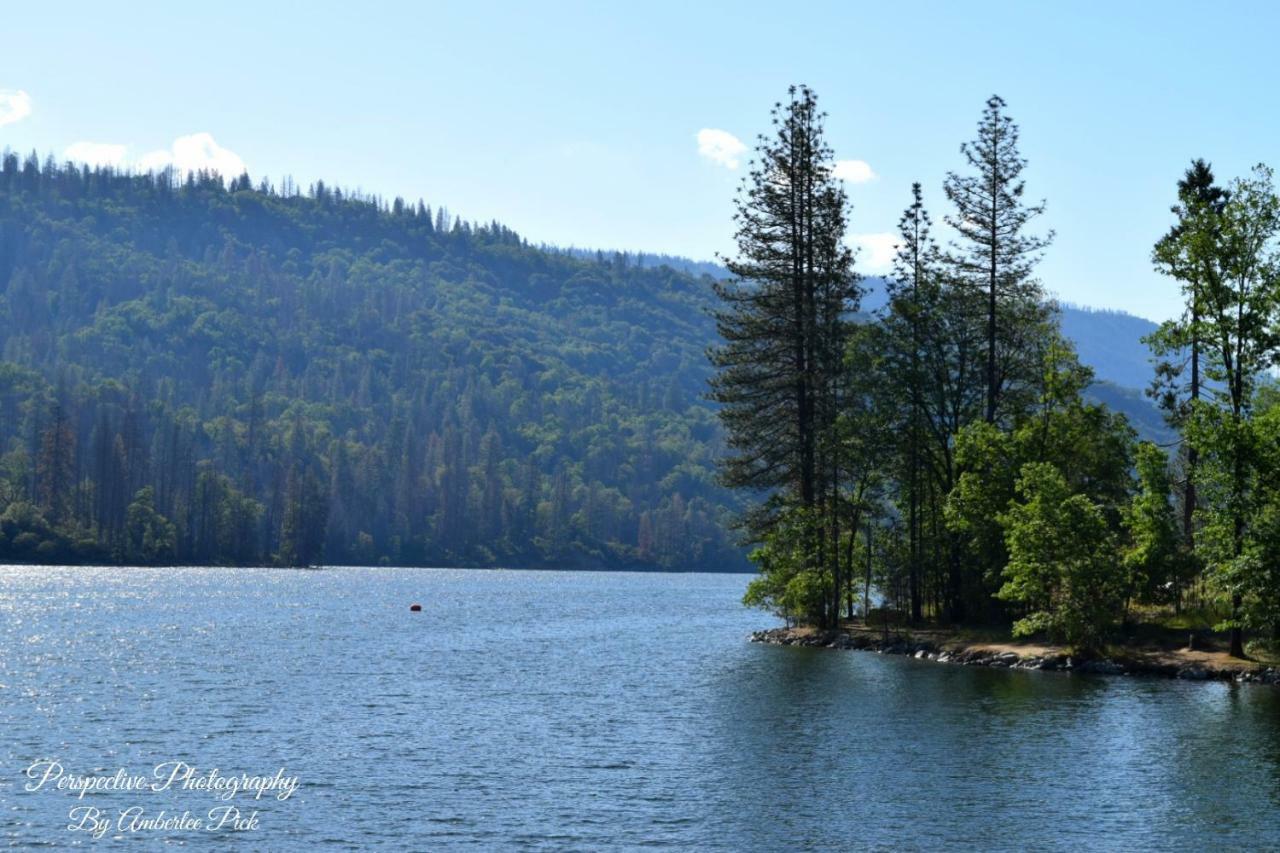 Yosemite Foothill Retreat 호텔 코어스골드 외부 사진